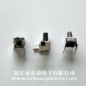 p|_P6*6*9.5mm(2_)